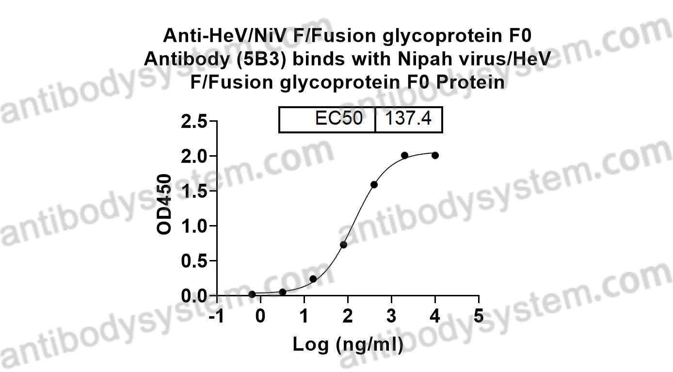Anti-HeV/NiV F/Fusion glycoprotein F0 Antibody (5B3)