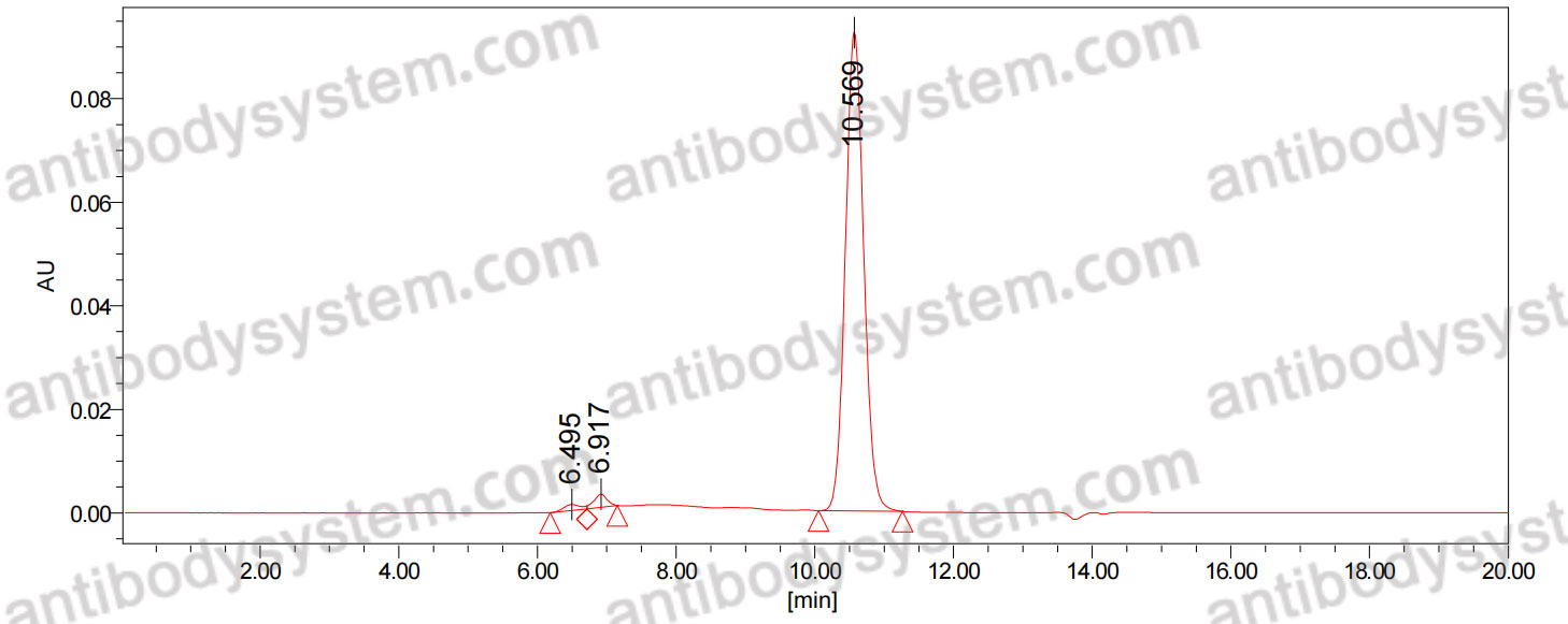 Anti-CHIKV p130/Structural polyprotein Antibody (DC1.7)