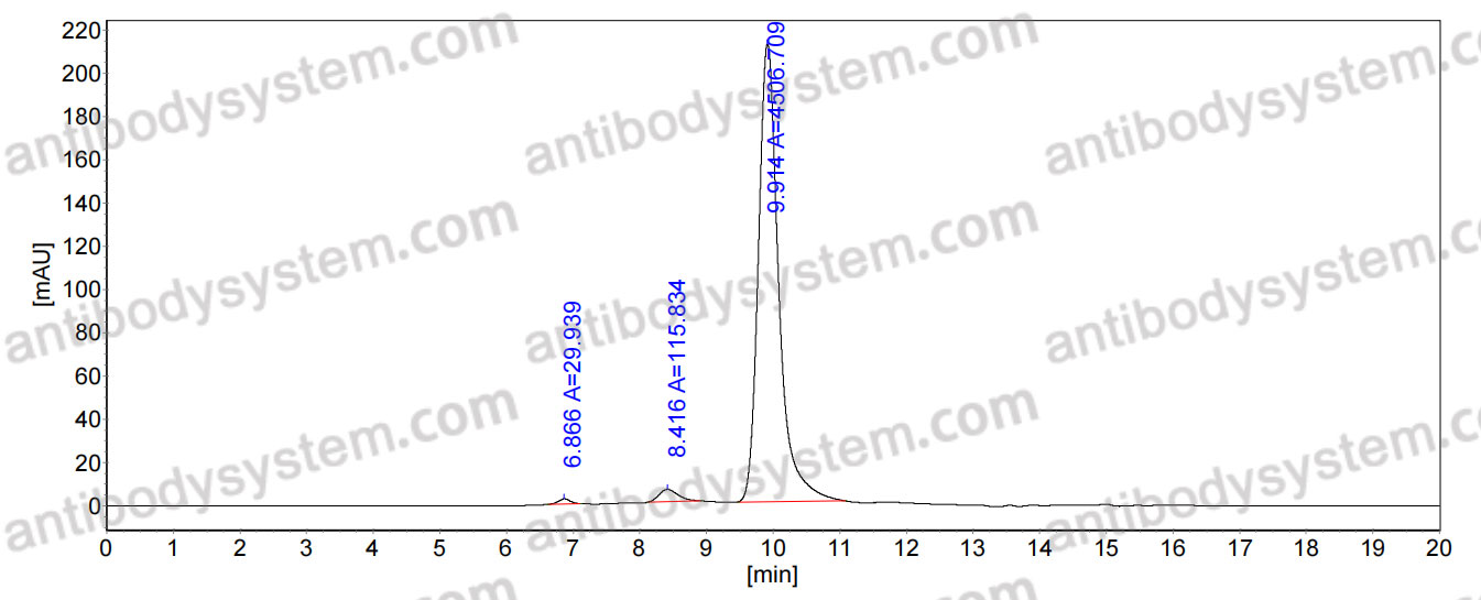Anti-CHIKV p130/Structural polyprotein Antibody (DC2.112)