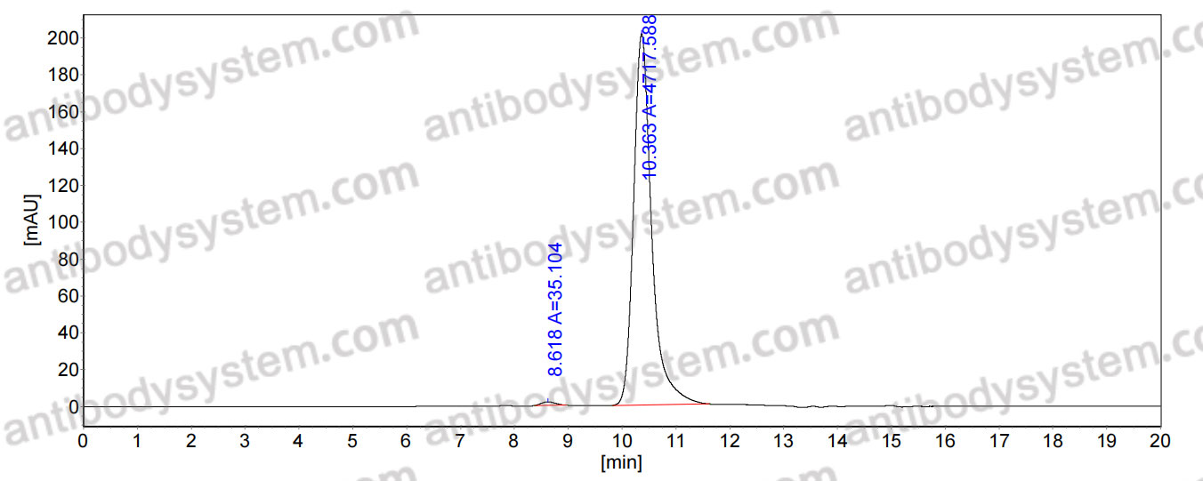 Anti-CHIKV p130/Structural polyprotein Antibody (DC2.315)