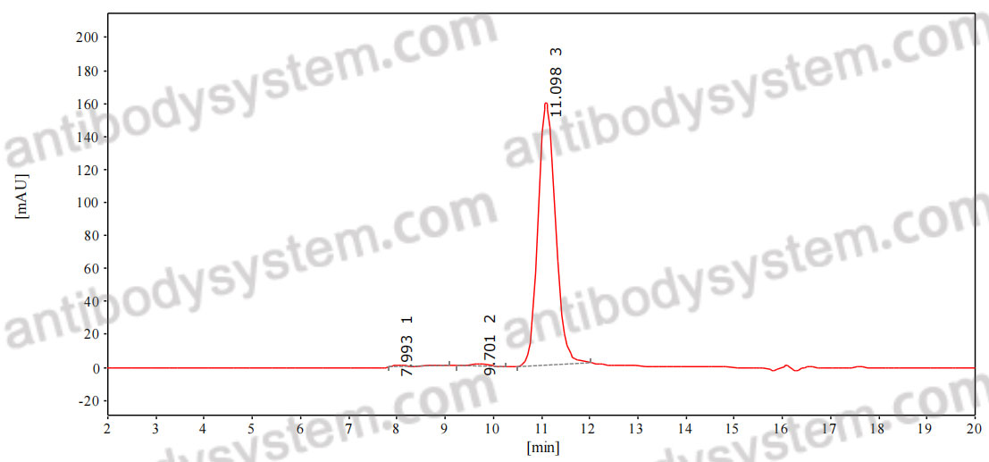 Anti-CHIKV Spike glycoprotein E2 Antibody (CHK265)