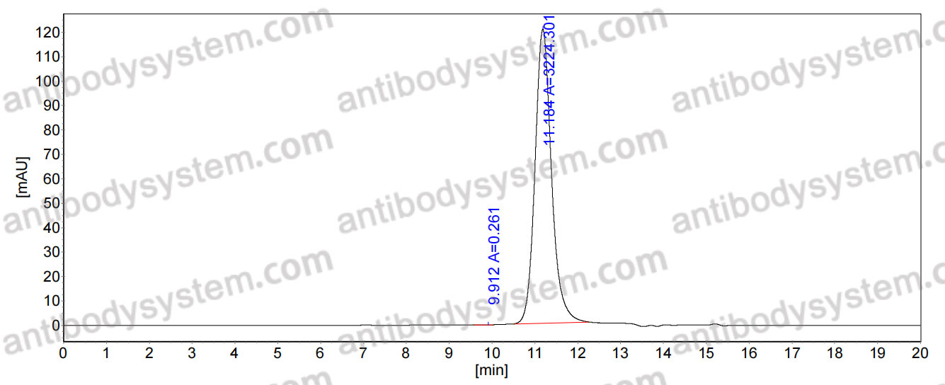 Anti-CHIKV Spike glycoprotein E2 Antibody (4J21)