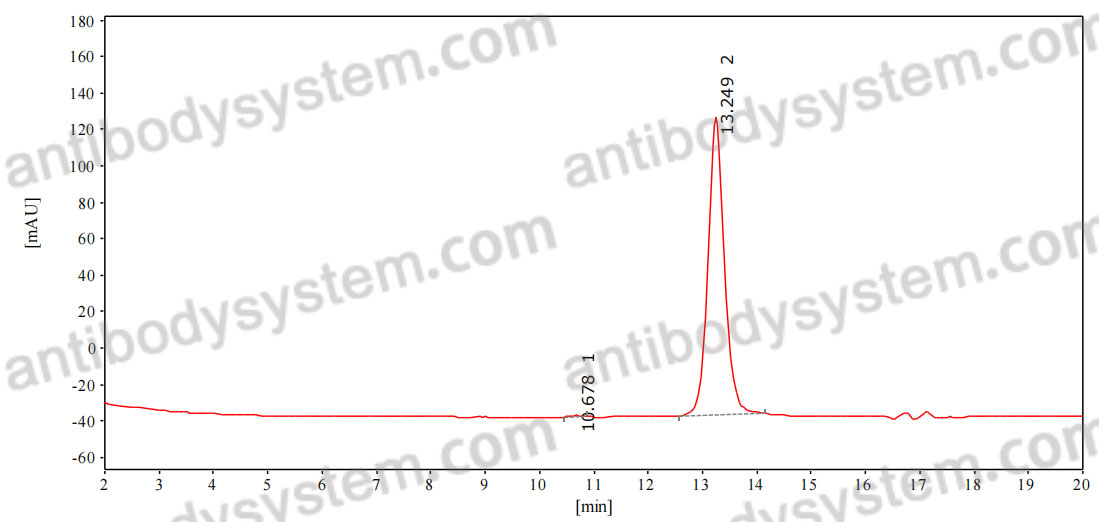 Anti-Vaccinia virus/VACV A27L Antibody (186#)