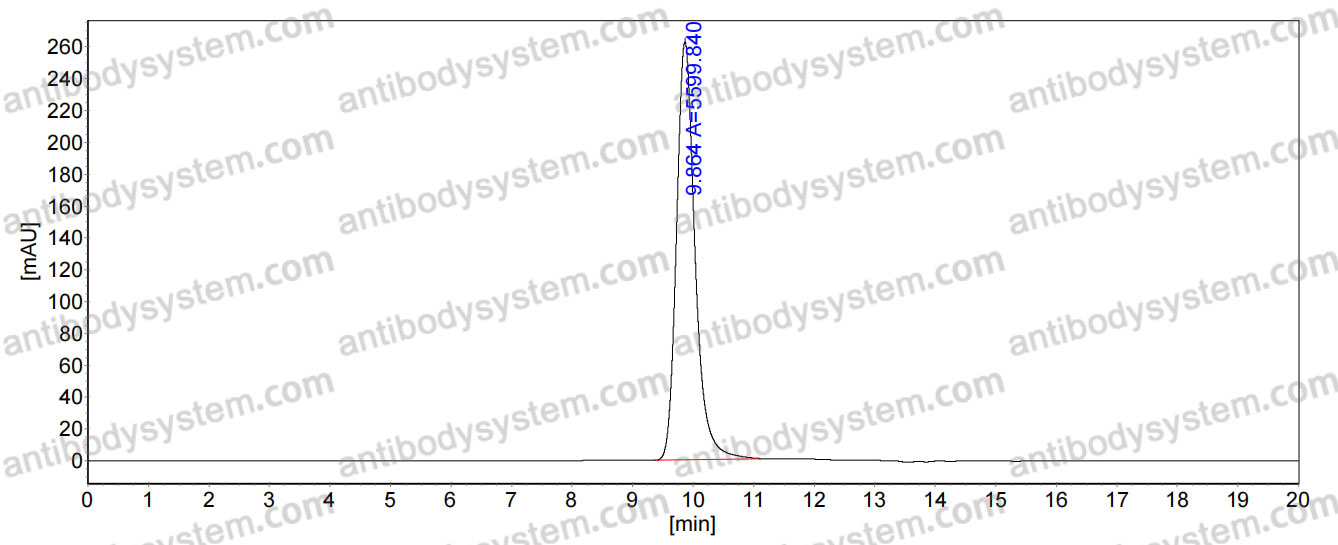 Anti-EBV/HHV-4 BLLF1/MA Antibody (SAb2302)