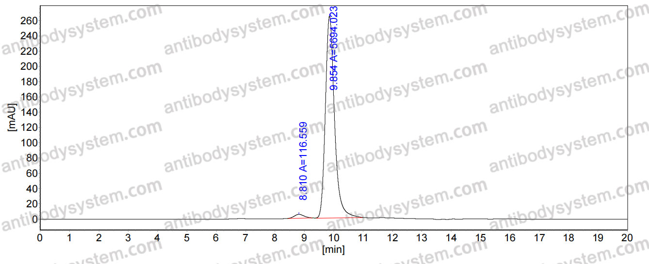 Anti-EBV/HHV-4 BLLF1/MA Antibody (SAb2303)