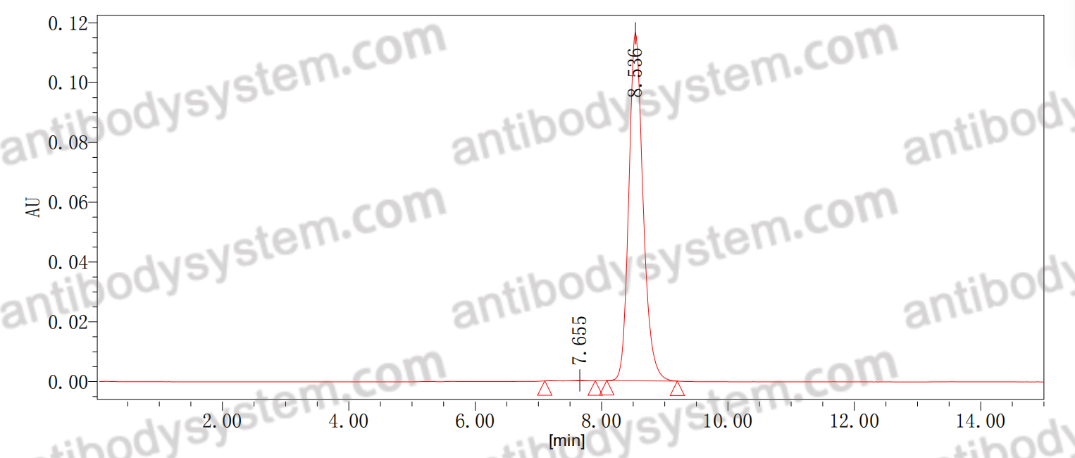 SEC-HPLC for Anti-DENV-2 NS1 Antibody (DENV2P10) ?>