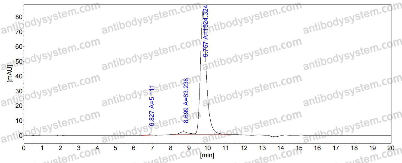 Anti-Foot-and-mouth disease virus/FMDV 3ABC/3B Antibody (FM27)