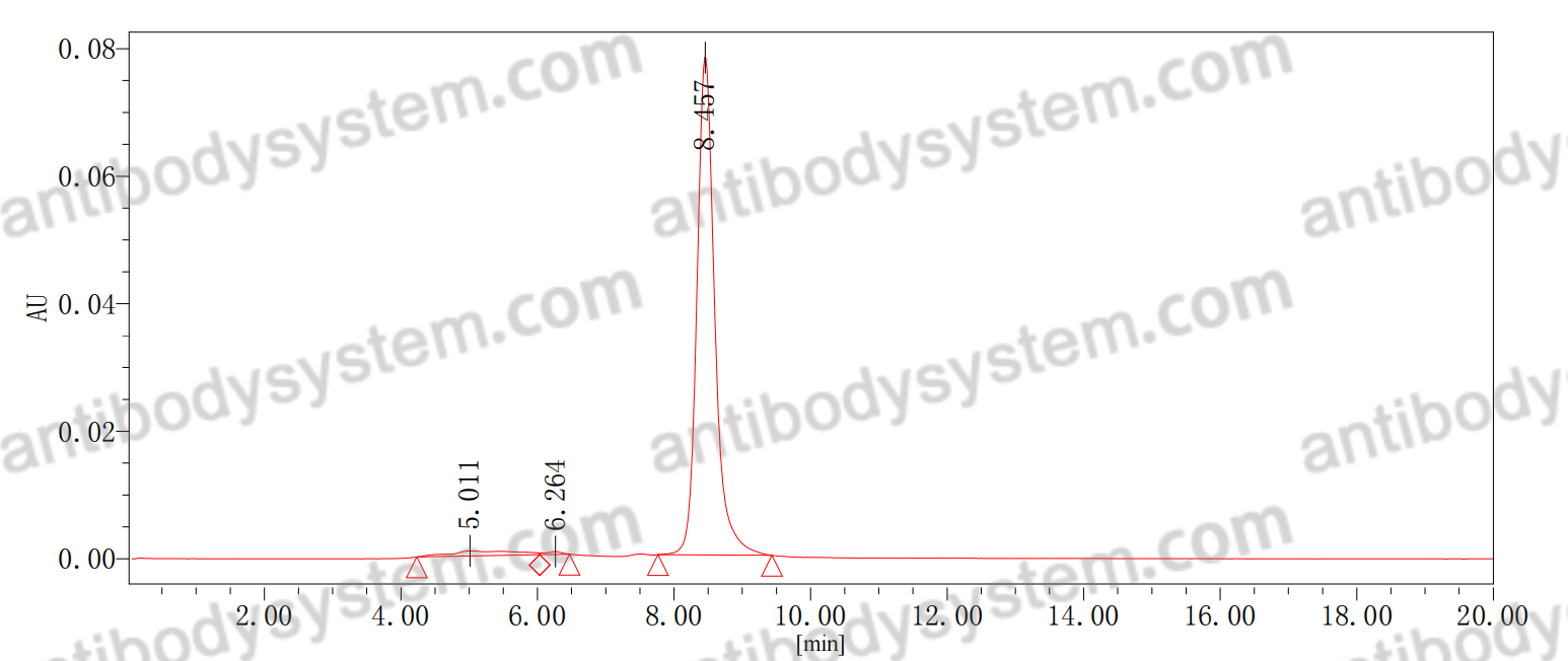 SEC-HPLC for Anti-HPV58 Major capsid protein L1 Antibody (2C3) ?>