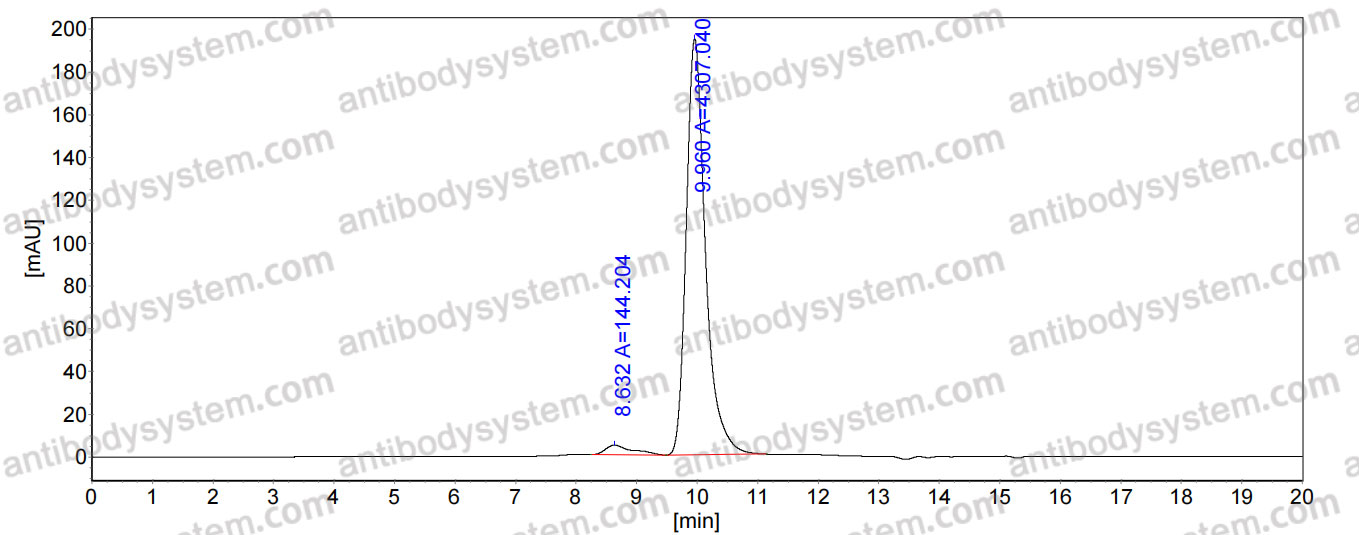 Anti-DENV-1/2/3/4 Envelope protein E Antibody (SAb2288)