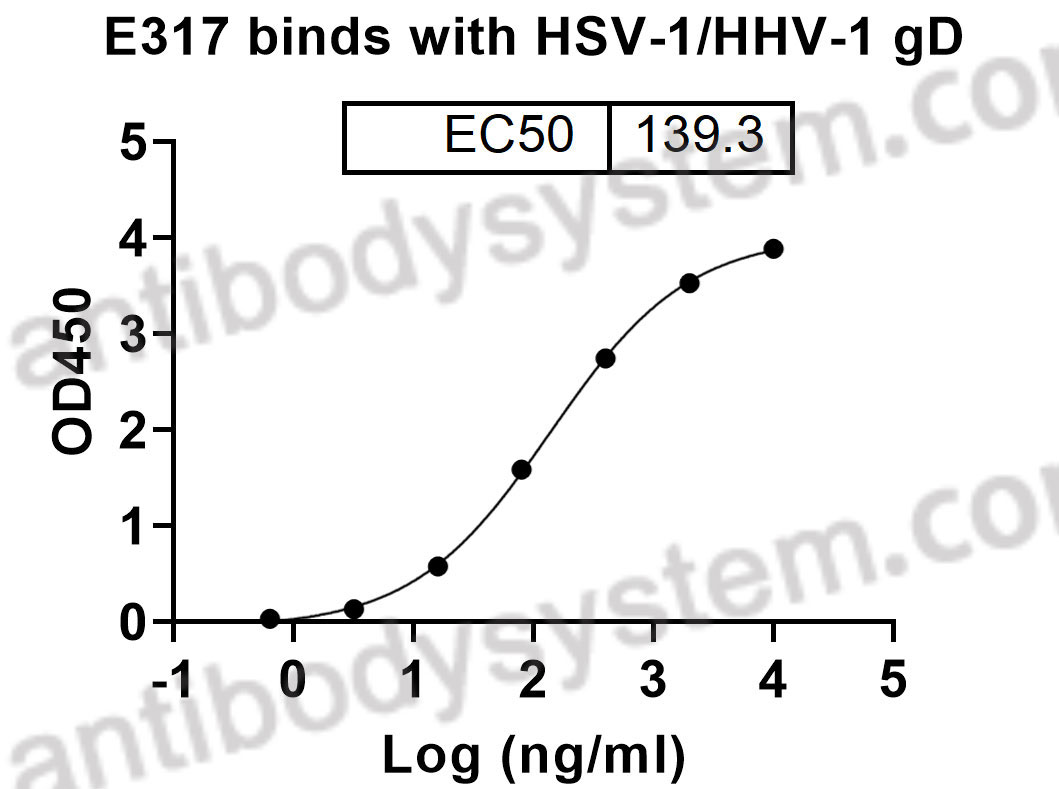 Anti-HHV1/2 gD/Envelope glycoprotein D Antibody (E317)