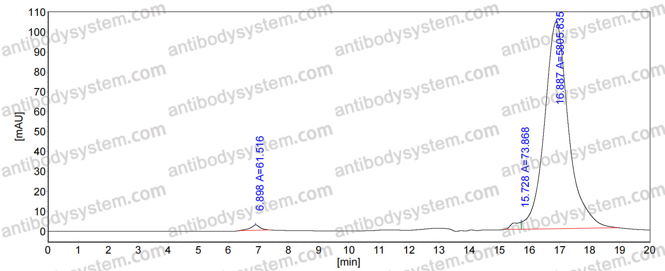 Anti-HMPV Prefusion/Pre-F Antibody (SAb2305)