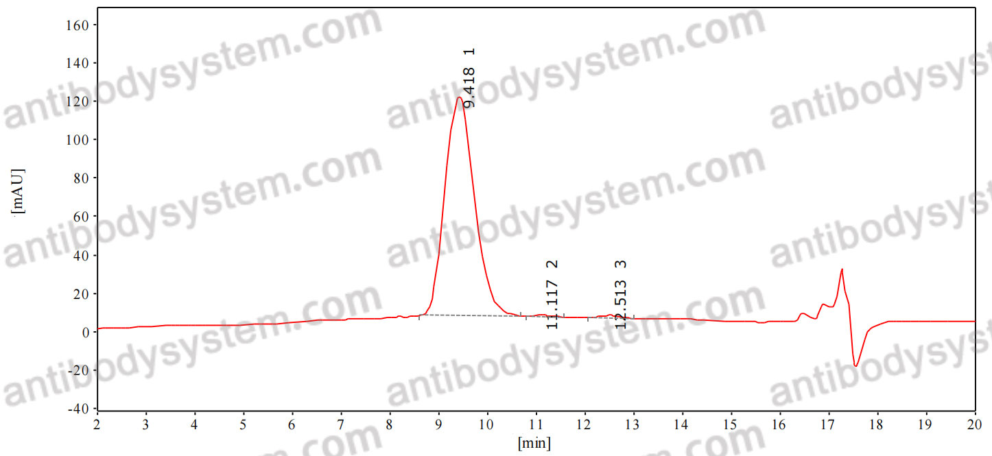 Anti-ASFV p30 Antibody (SAA2186)