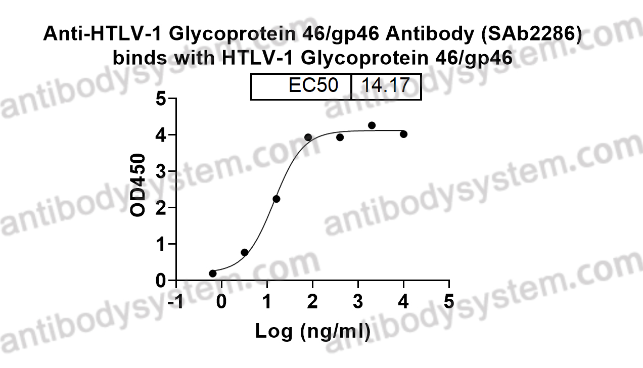 Anti-HTLV-1 Glycoprotein 46/gp46 Antibody (SAb2286)