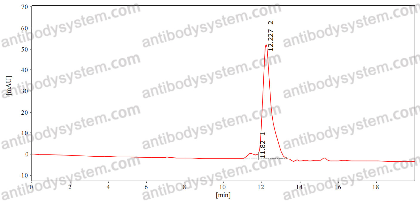 Anti-Staphylococcus aureus Alpha-toxin/hly Antibody (SAA2205)