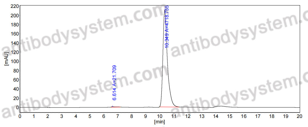Anti-LPS/Lipopolysaccharide Antibody (SAA0597)