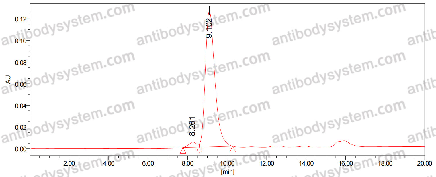 Anti-LPS/Lipopolysaccharide Antibody (SAA0607)
