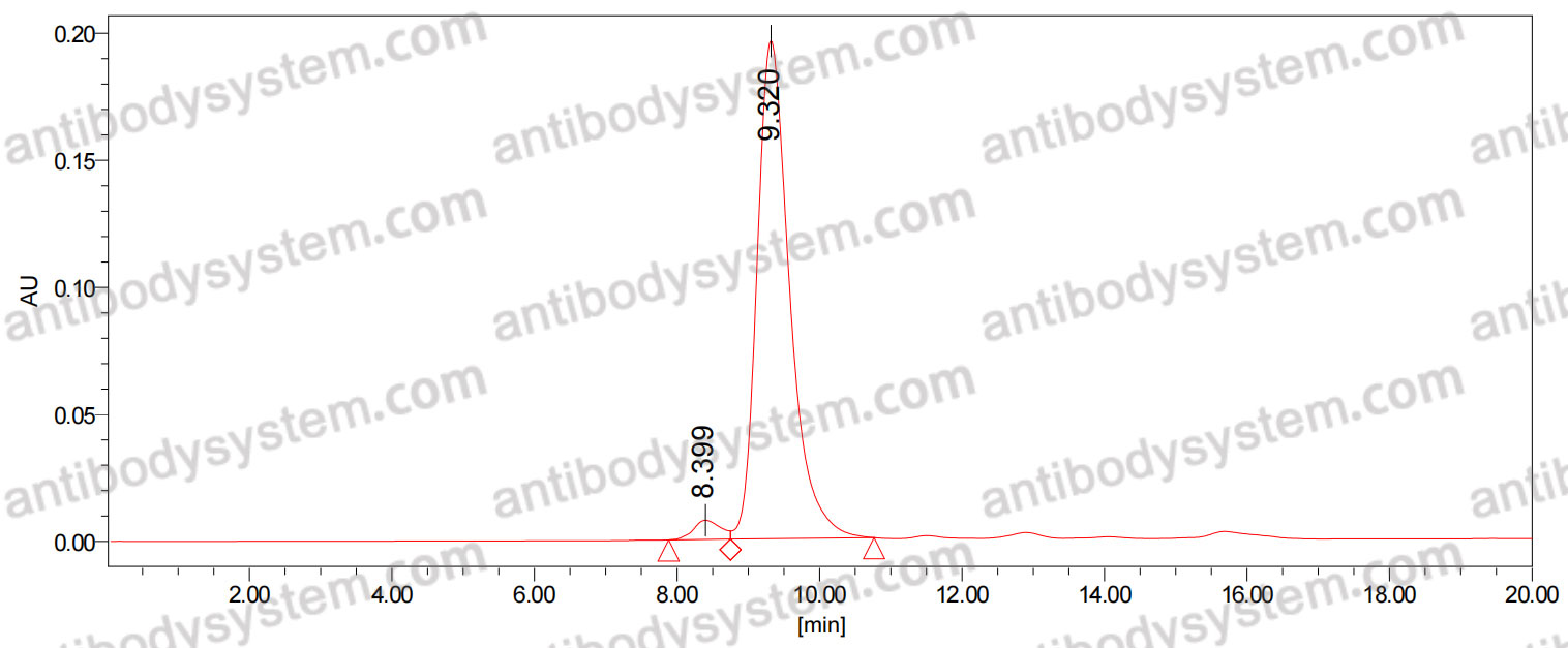Anti-LPS/Lipopolysaccharide Antibody (SAA0610)