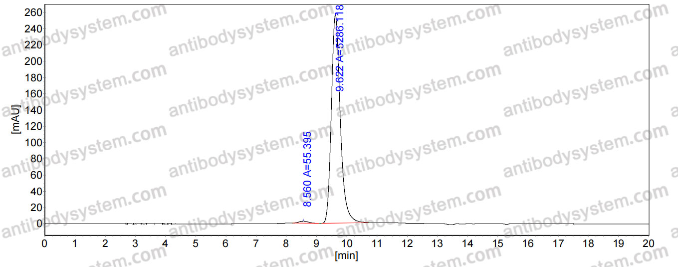 Anti-Staphylococcus aureus isdA/isdB Antibody (SAA1457)
