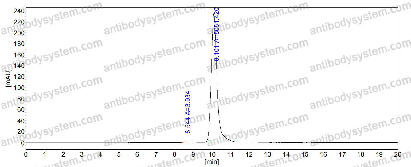 SEC-HPLC for Anti-Neisseria meningitidis NHBA/Dextranase Antibody (5H2) ?>