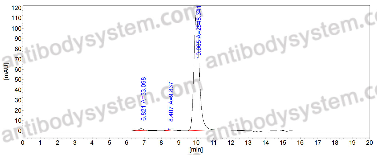 Anti-Mycobacterium tuberculosis LAM Antibody (SAb2267)