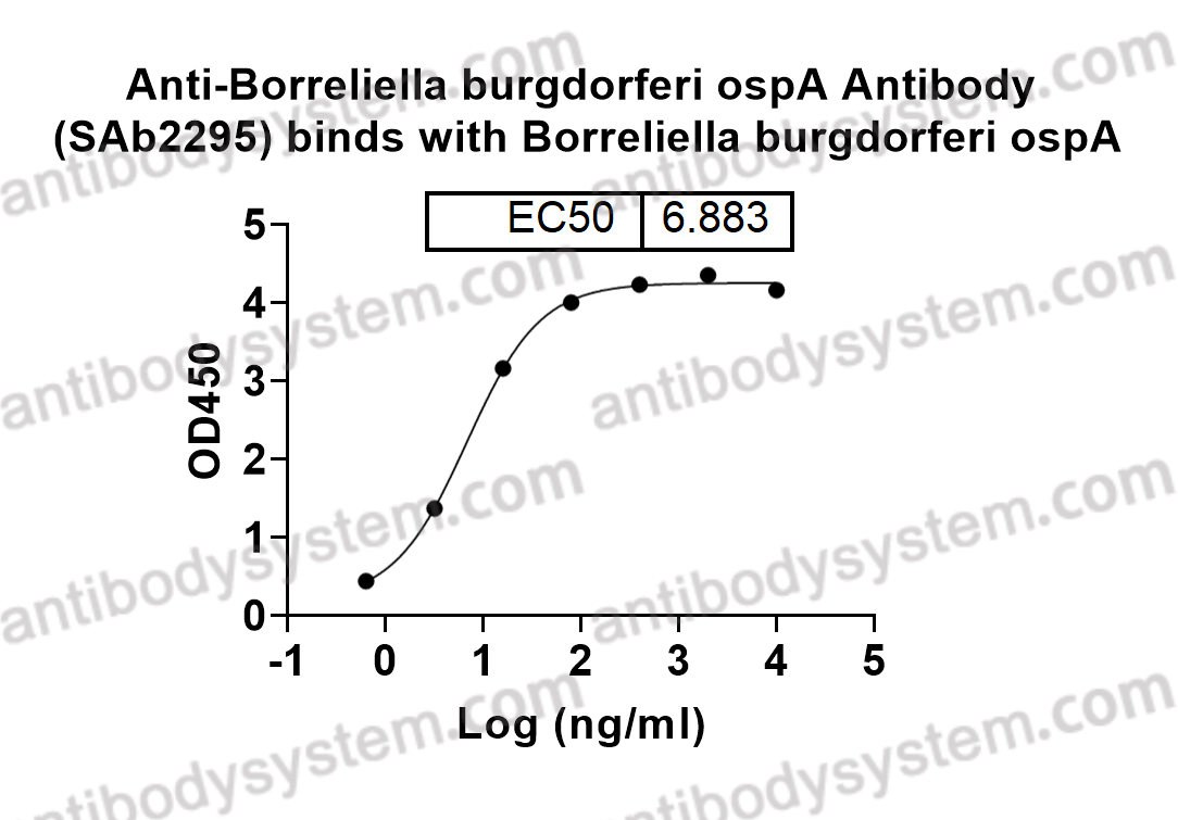 Bioactivity for Anti-Borreliella burgdorferi ospA Antibody (SAb2295) ?>
