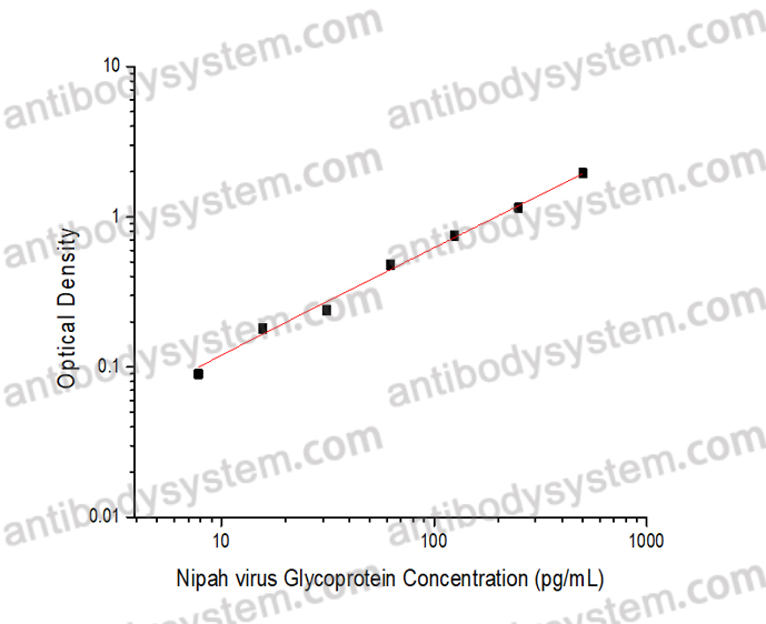 Anti-NiV Glycoprotein G Antibody (SAb2529)