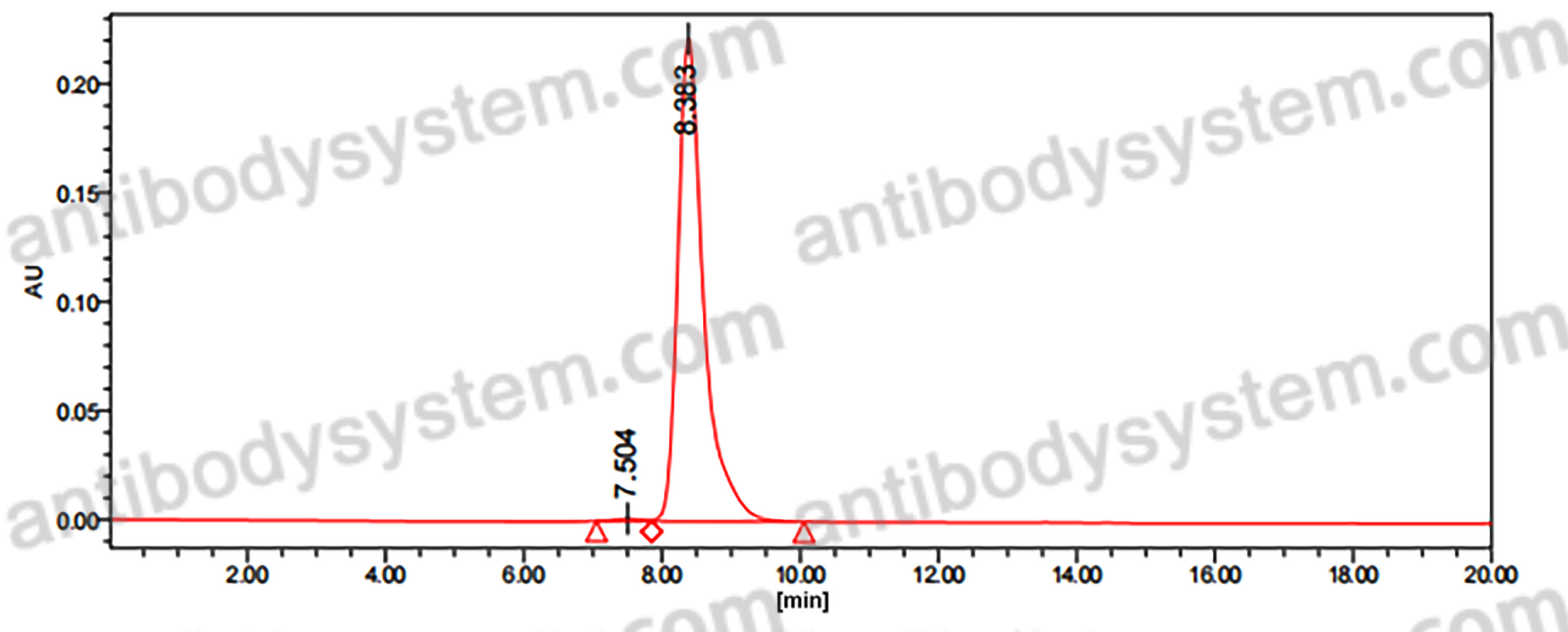 InVivoMAb Anti-Human GDF11/BMP11 (Iv0062)