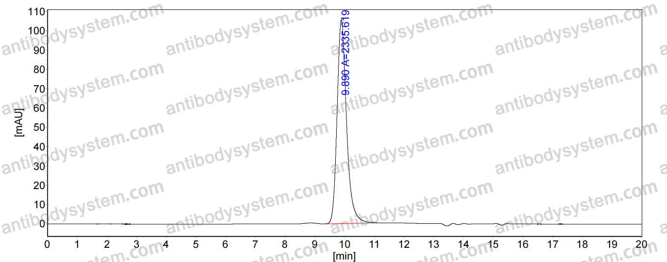 InVivoMAb Anti-Human CDH11 Antibody (SYN0012)