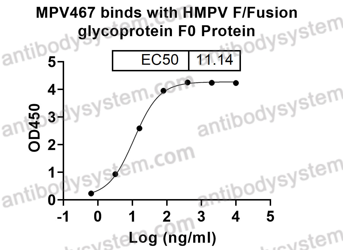 InVivoMAb Anti-HMPV F/Fusion glycoprotein F0 Antibody (MPV467)
