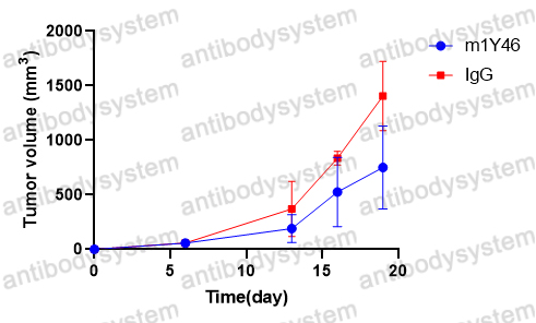 Anti-Mouse PTN Neutralizing Antibody (m1Y46)