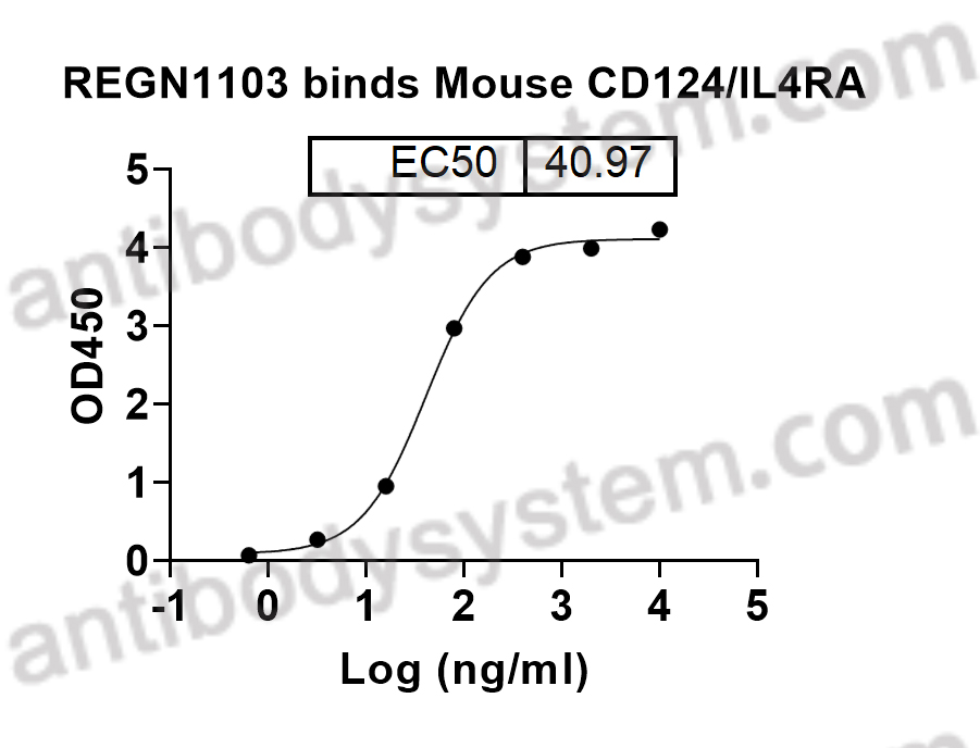 Bioactivity for InVivo MAb Anti-Mouse CD124/IL4RA Antibody (REGN1103) ?>