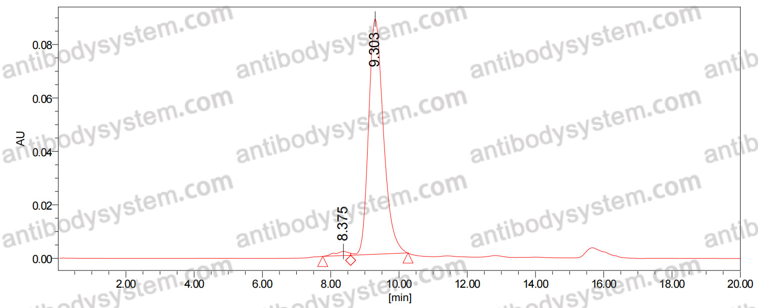 InVivoMAb Anti-Rat CD198/CCR8 Antibody (Iv0256)