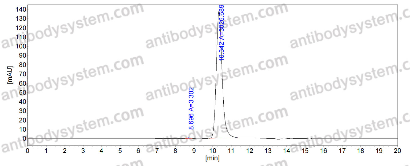 InVivoMAb Anti-HCMV/HHV5 gB Neutralizing Antibody (1G2)