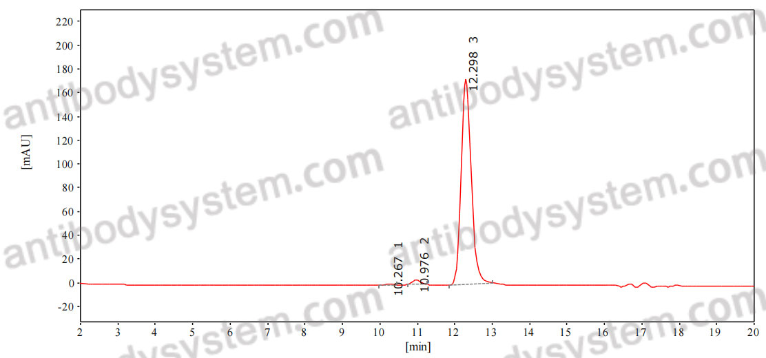 InVivoMAb Anti-HCMV/HHV-5 gB/Envelope glycoprotein B Antibody (8F9)