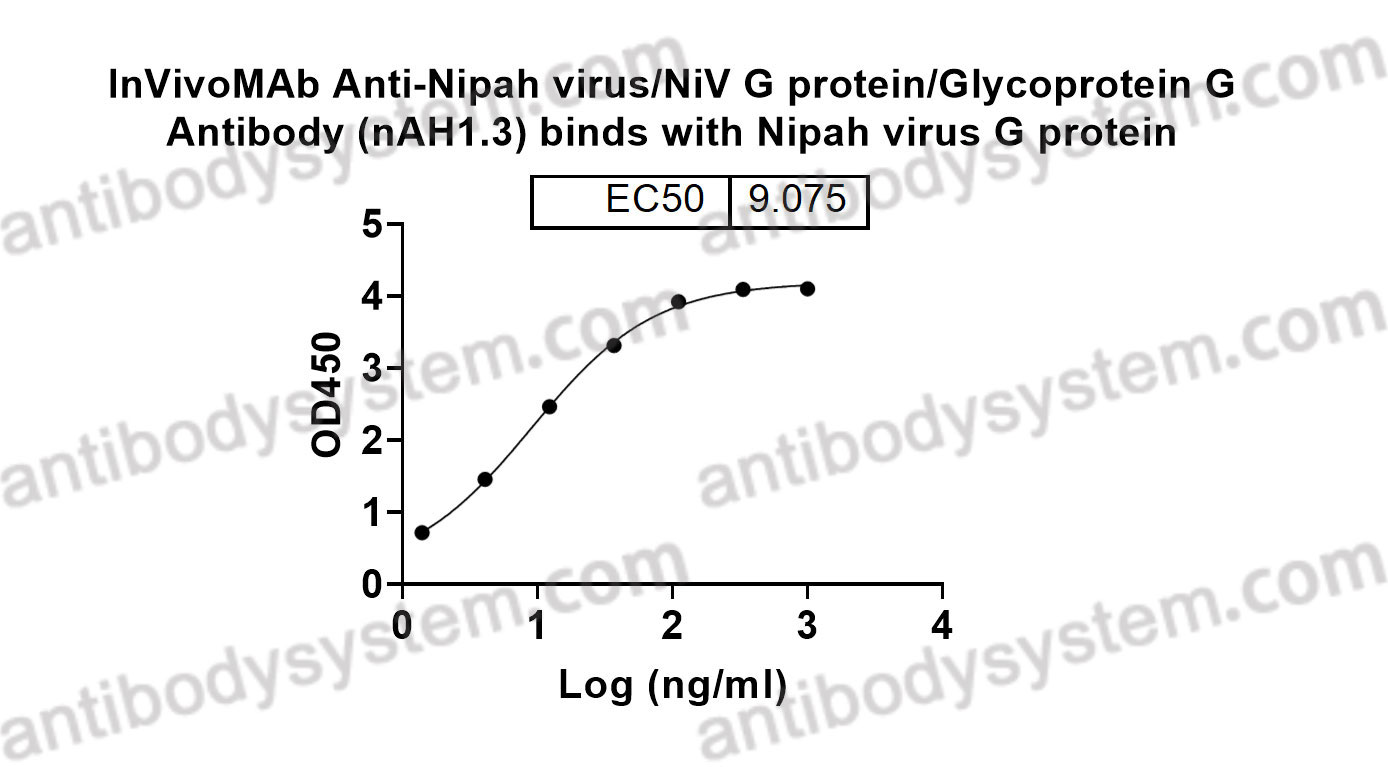 Bioactivity for InVivoMAb Anti-Nipah virus/NiV G protein/Glycoprotein G Antibody (nAH1.3) ?>