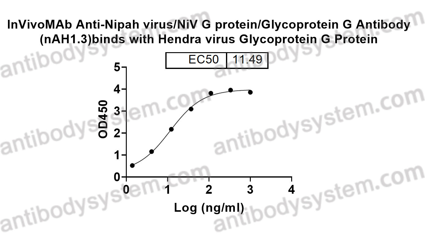 Bioactivity for InVivoMAb Anti-Nipah virus/NiV G protein/Glycoprotein G Antibody (nAH1.3) ?>