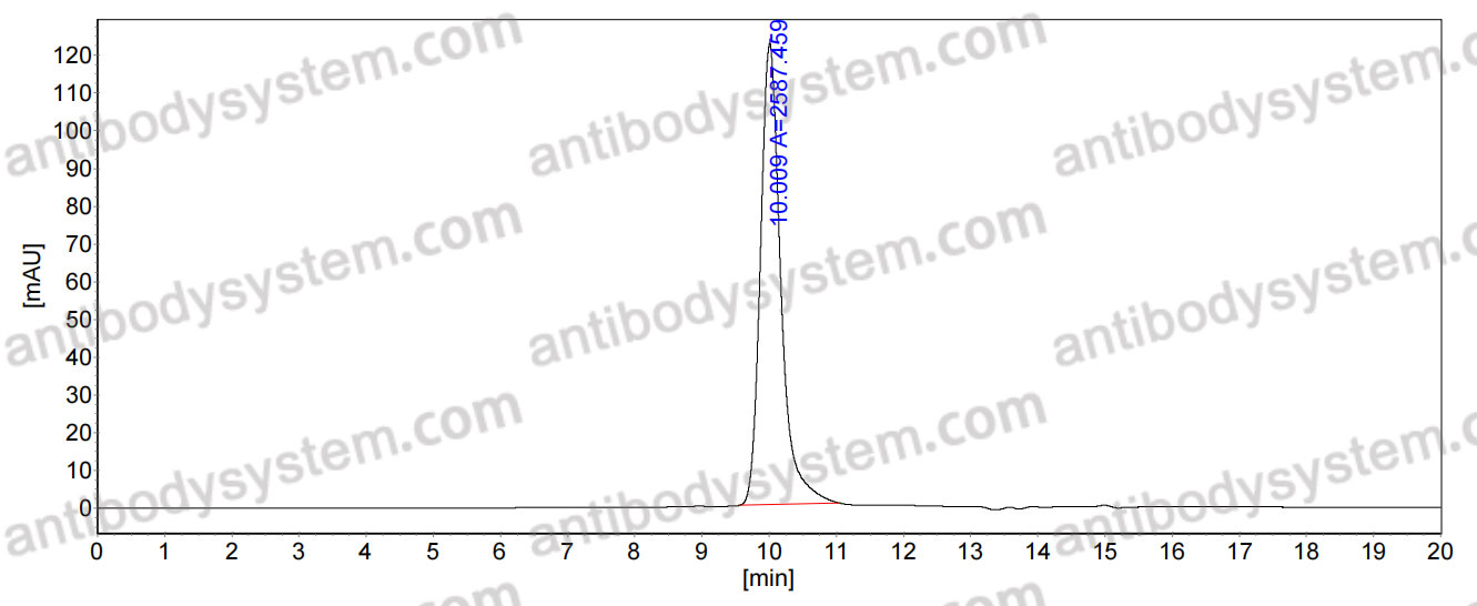 InVivoMAb Anti-Nipah virus/NiV F/Fusion glycoprotein F0 Antibody (2D3)