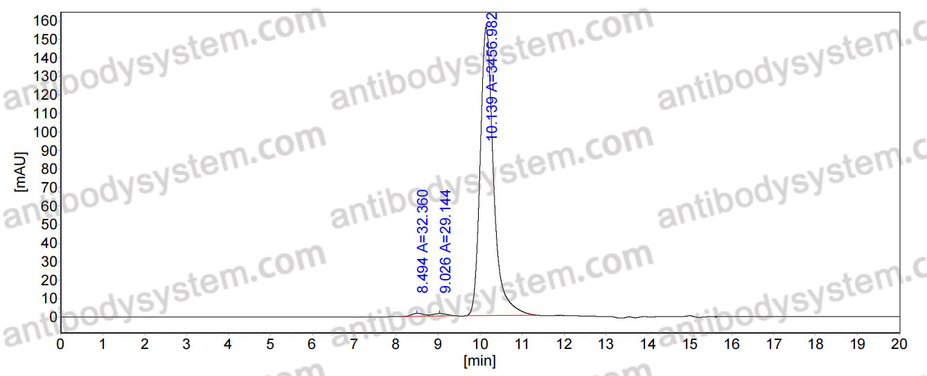 InVivoMAb Anti-Nipah virus/NiV Prefusion Protein Antibody (1H1)
