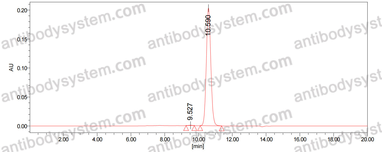 InVivoMAb Anti-Chikungunya Virus/CHIKV VLP Antibody (m242)