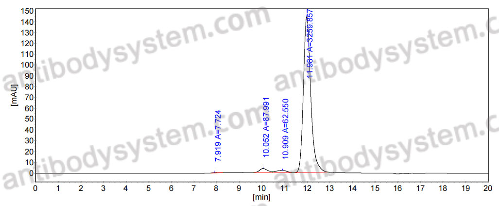 InVivoMAb Anti-DENV-2 Envelope protein E/EDIII domain Antibody (3H5)