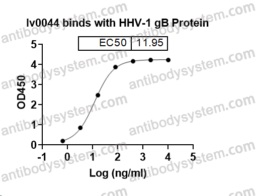 InVivoMAb Anti-HSV1/HHV1 gB/Envelope glycoprotein B (Iv0044)