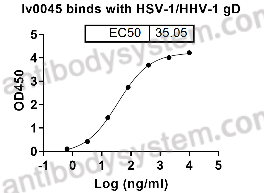 InVivoMAb Anti-HSV1/HHV1 gD/Envelope glycoprotein D (Iv0045)