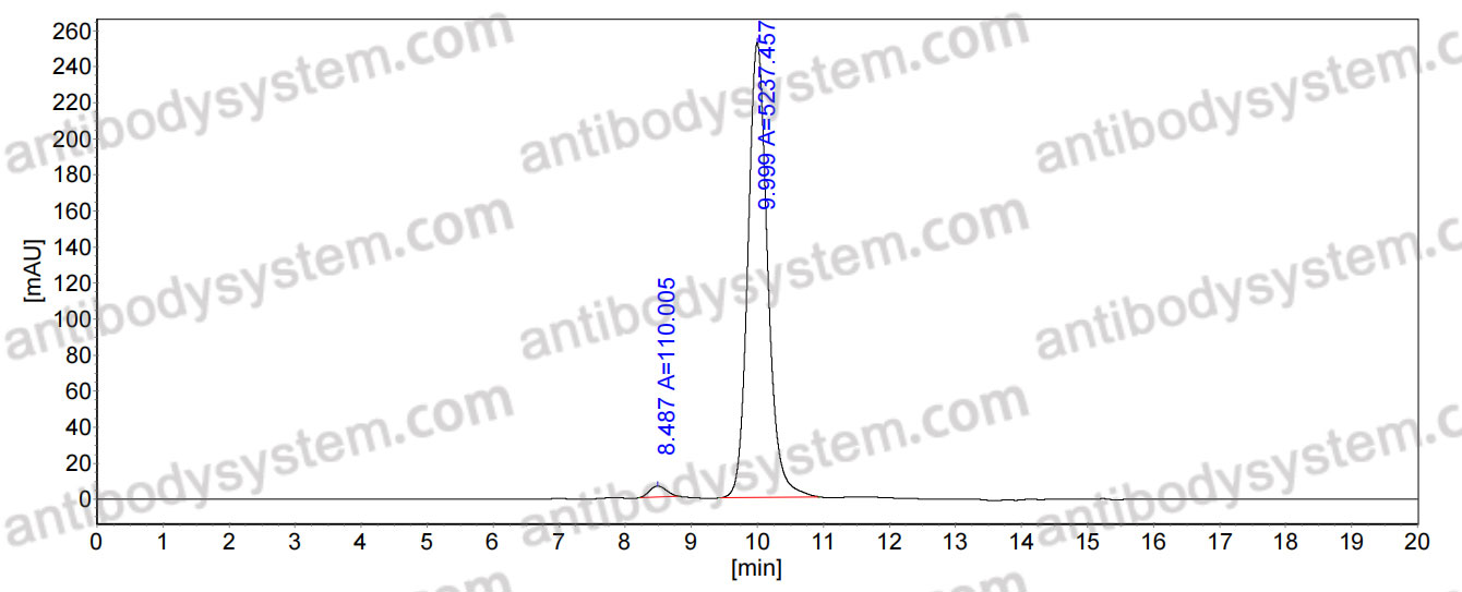 InVivoMAb Anti-Influenza A/B virus NA/Neuraminidase Broad-Neutralizing Antibody (Iv0283)