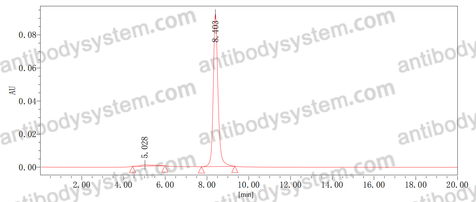 Anti-MARV GP Broadly Neutralizing Antibody (Fs0530)