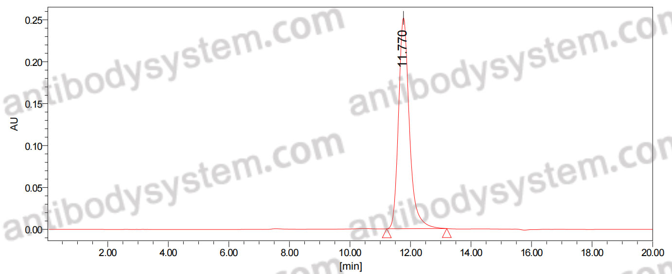 InVivoMAb Anti-ZIKV Envelope protein E Antibody (Z23)