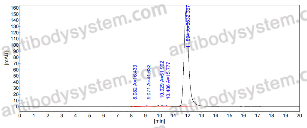 InVivo MAb Anti-SFTSV Gn/Glycoprotein N Antibody (FS0301)