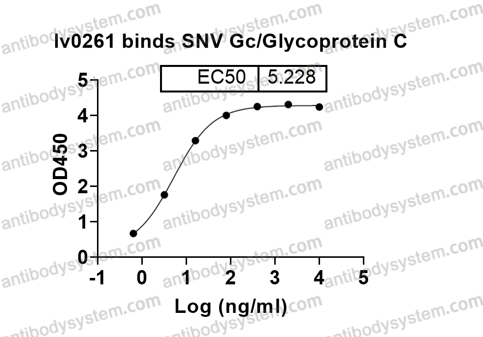 InVivoMAb Anti-Hantaan virus Glycoprotein C/Gc Broad-Neutralizing Antibody (Iv0261)