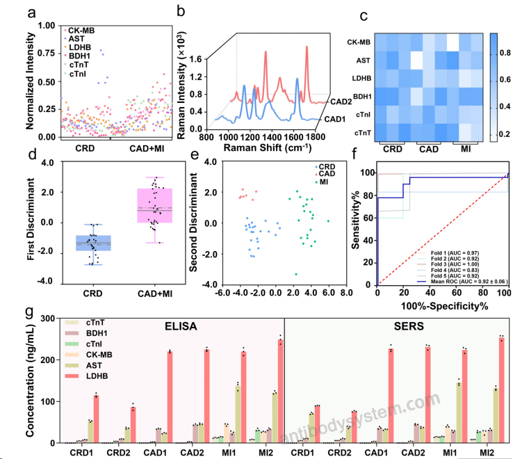 Bioactivity for Recombinant Human TNNT2 Protein, N-His ?>