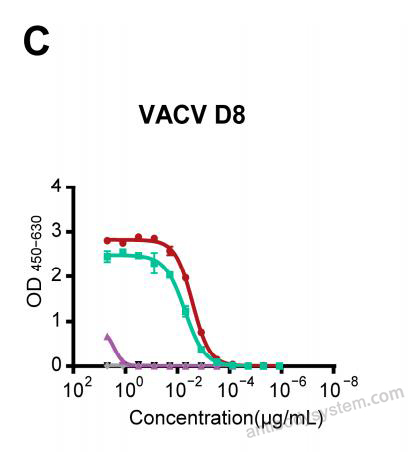 Bioactivity for Recombinant VACV D8L Protein, N-His ?>